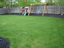 Lawn